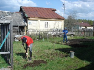 Рабы на плантациях