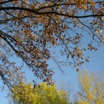 dsc03525